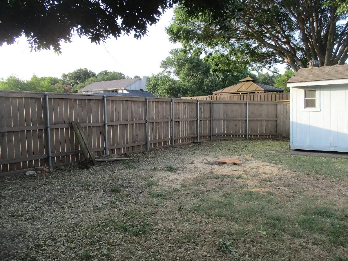 Cleared yard after professional tree removal in Dunmore