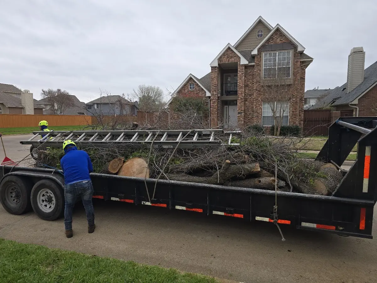 Expert Lot Clearing with proper safety equipment in Dunmore
